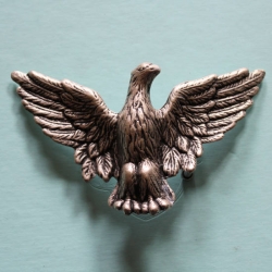 Grtelschnalle Silver Eagle