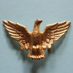 Grtelschnalle Golden Eagle