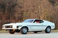 Ford Mustamg  Mach 1 1971 