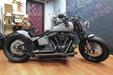 Harley-Davidson Cross Bones Custom 2009